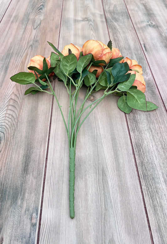 Full product view of our Sunset Rust Cabbage Rose Bush showing all blooms, foliage, and overall form