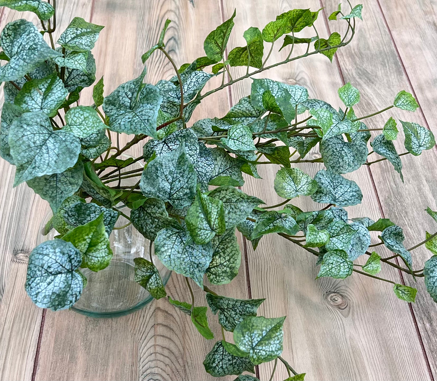 Designer view of our Cottonwood Frost Ivy Bush demonstrating natural movement and trailing character
