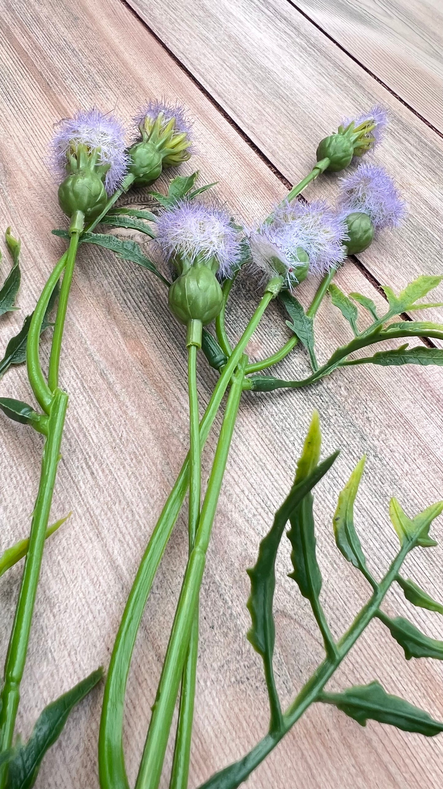 Purple Meadow Pod Spray section detail showing separable 4-pod and 2-pod stem sections