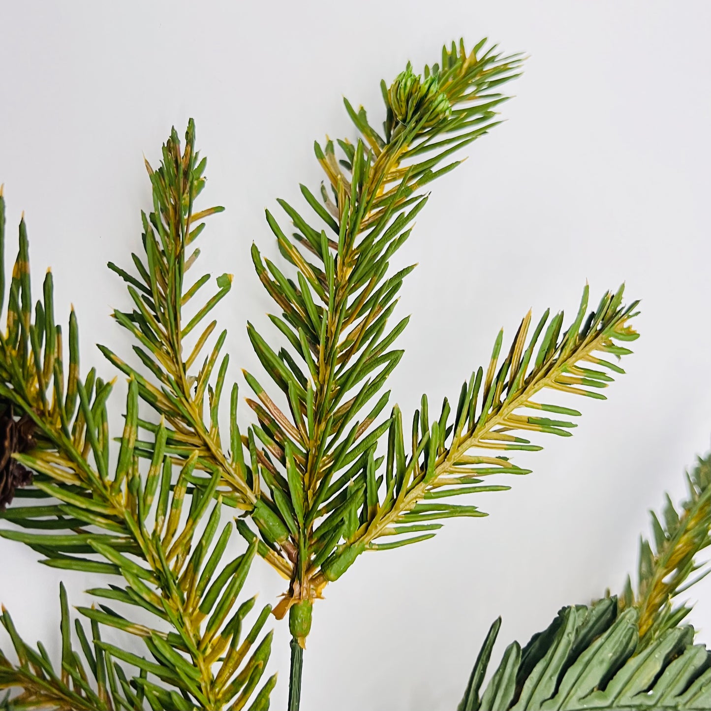 Bald Cypress and Pinecone Spray