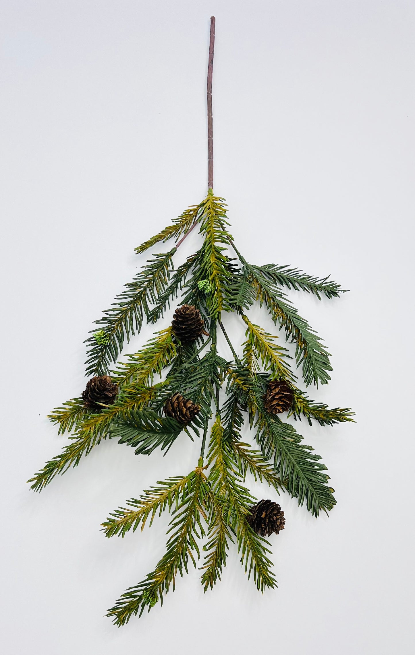 Bald Cypress and Pinecone Spray