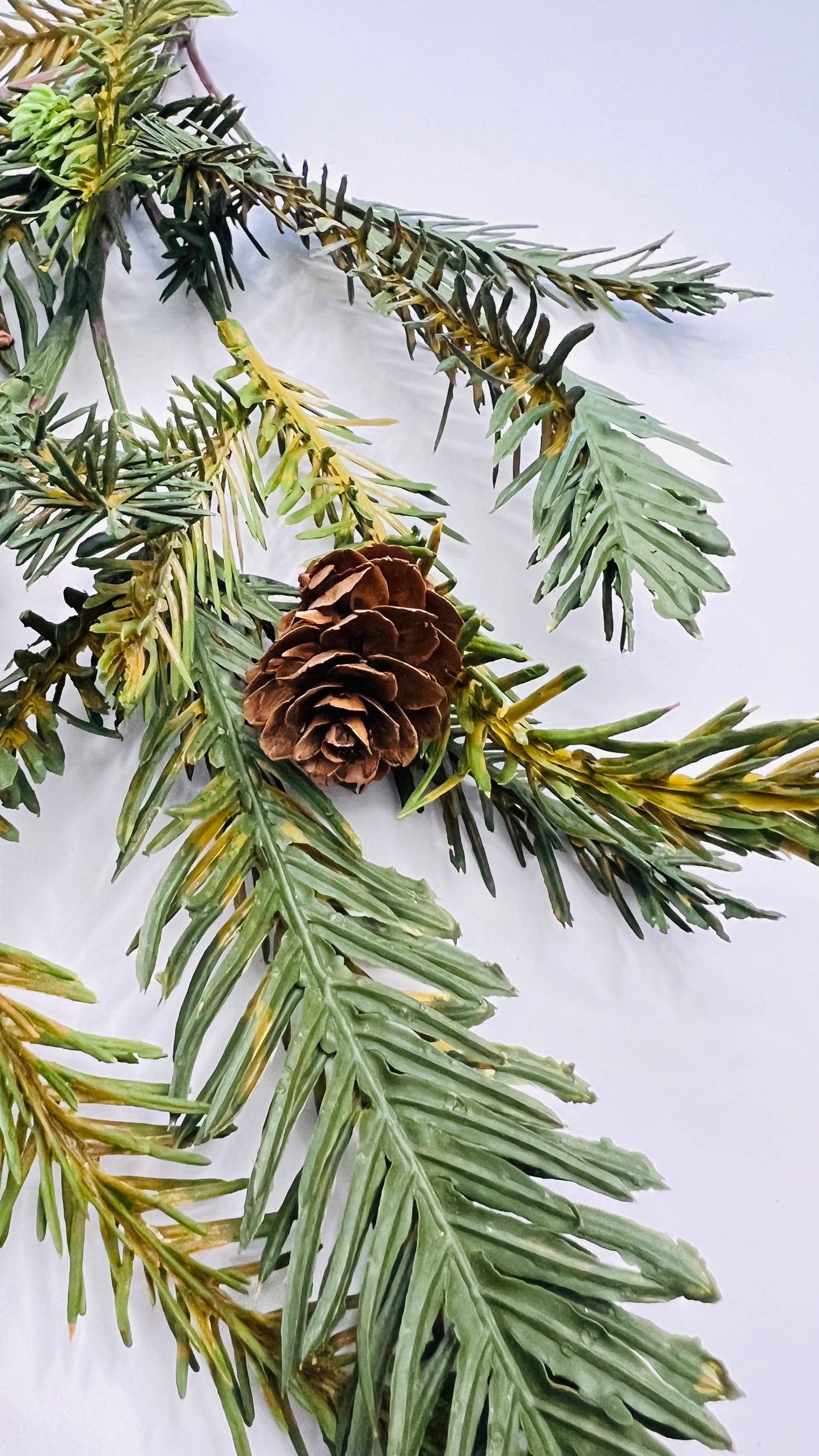 Bald Cypress and Pinecone Spray