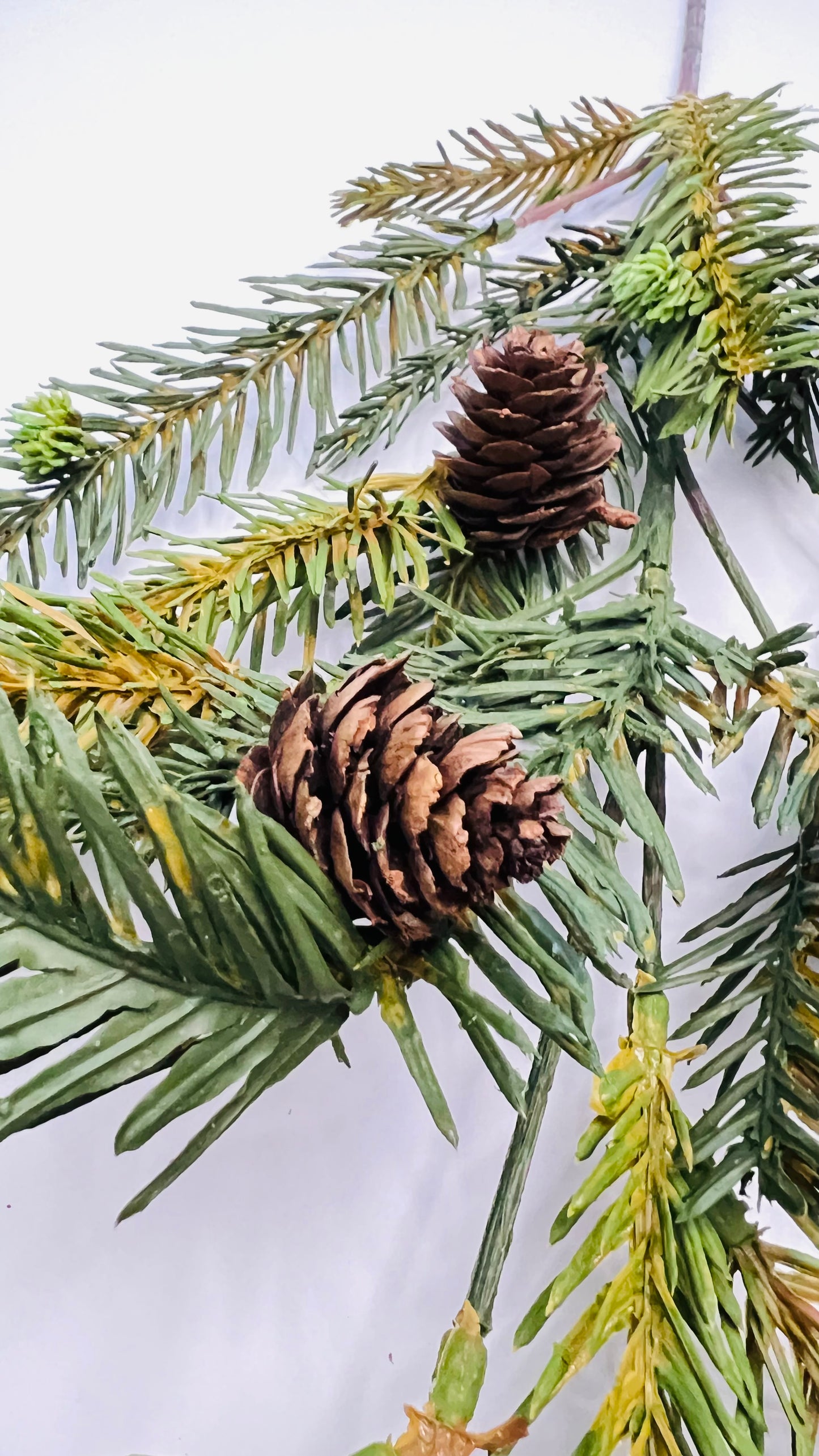 Bald Cypress and Pinecone Spray