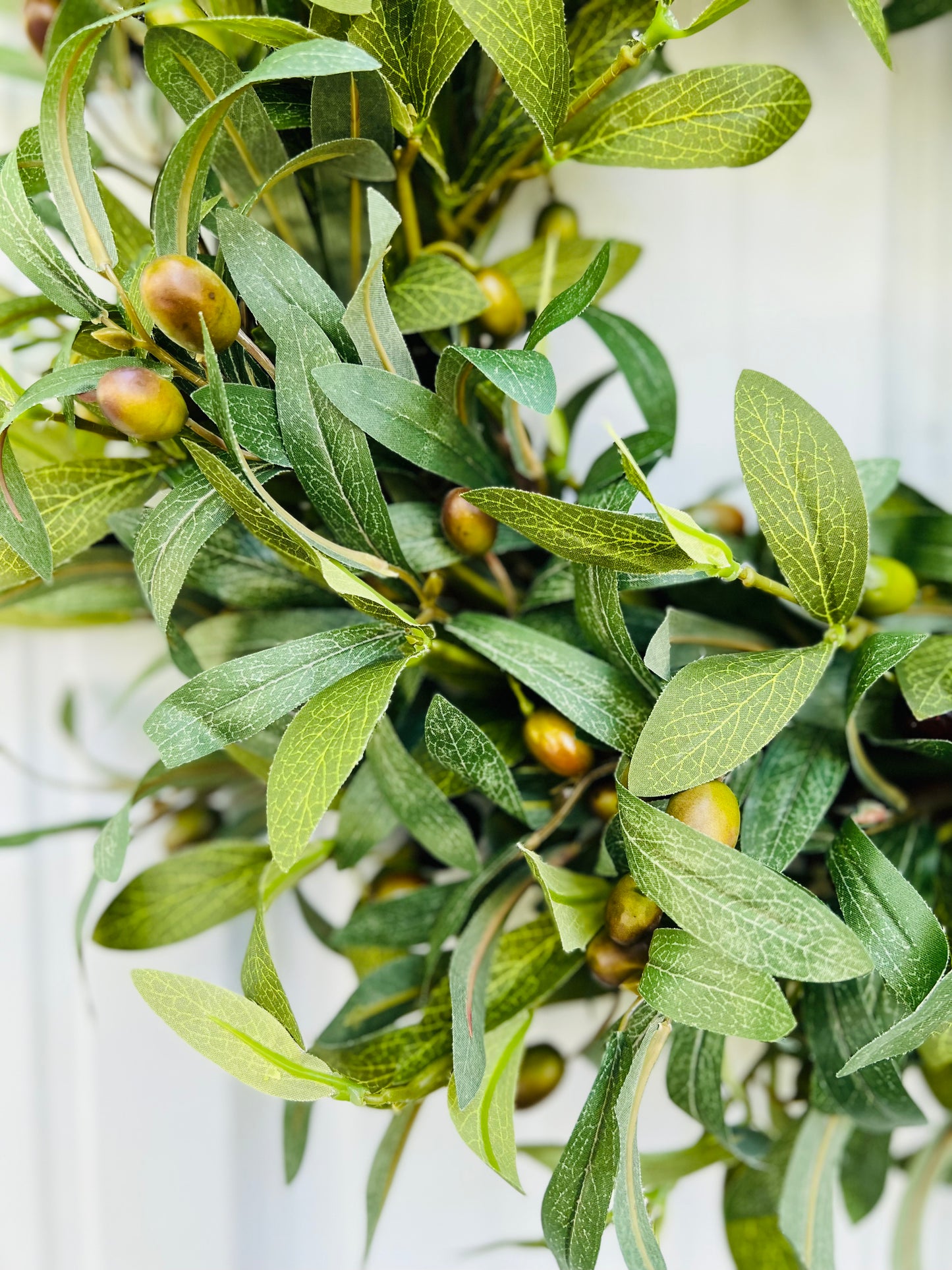 "Olive"
