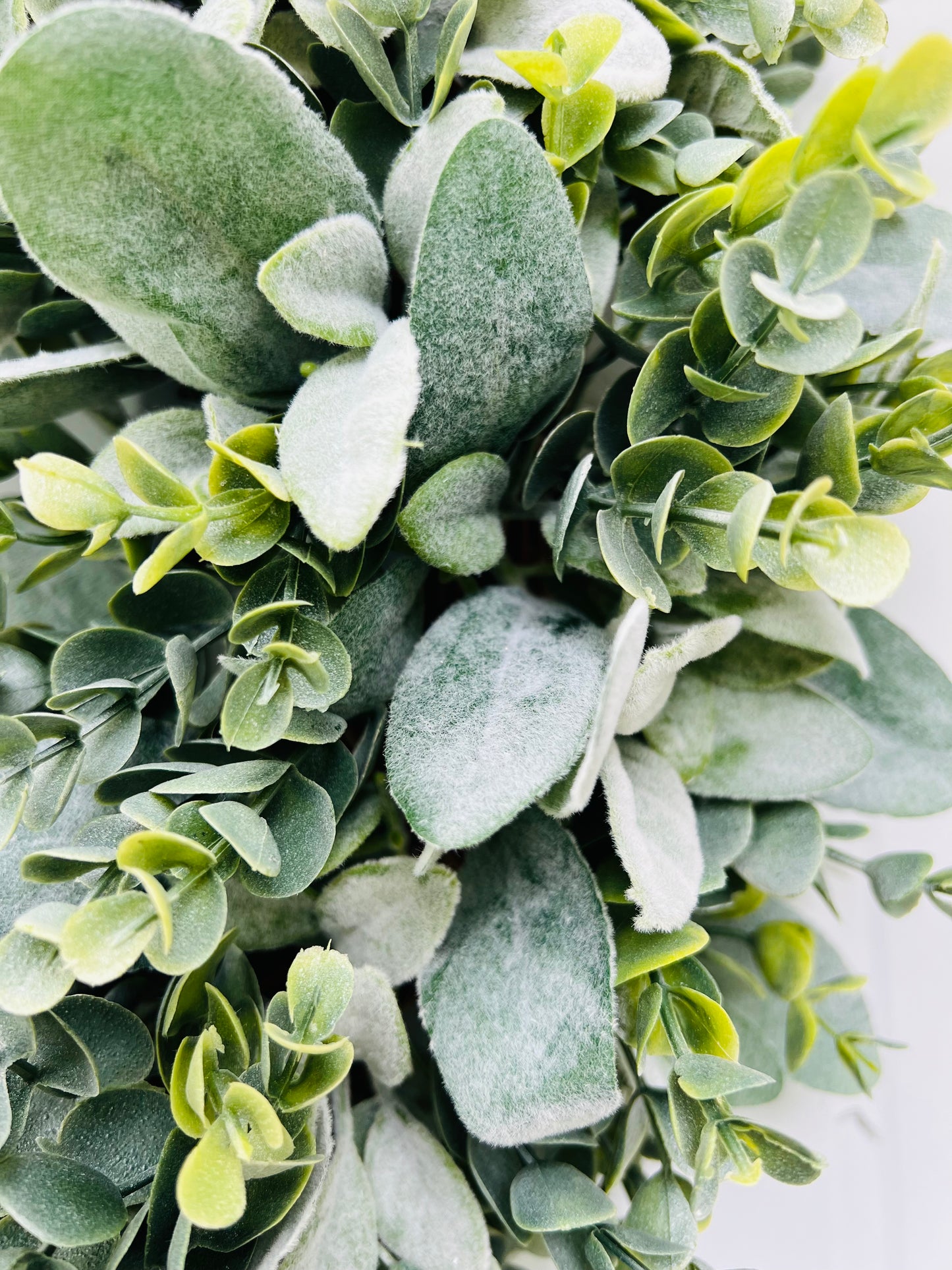 Close-up detail from Morning Dawn greenery wreath showcasing realistic eucalyptus leaves and furry lamb's ear foliage highlighting soft natural textures