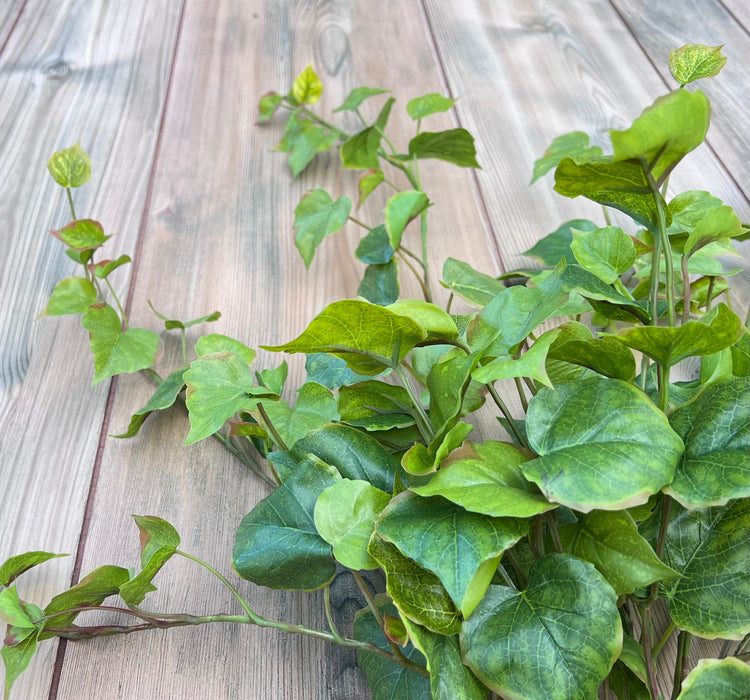 Trailing Greenery