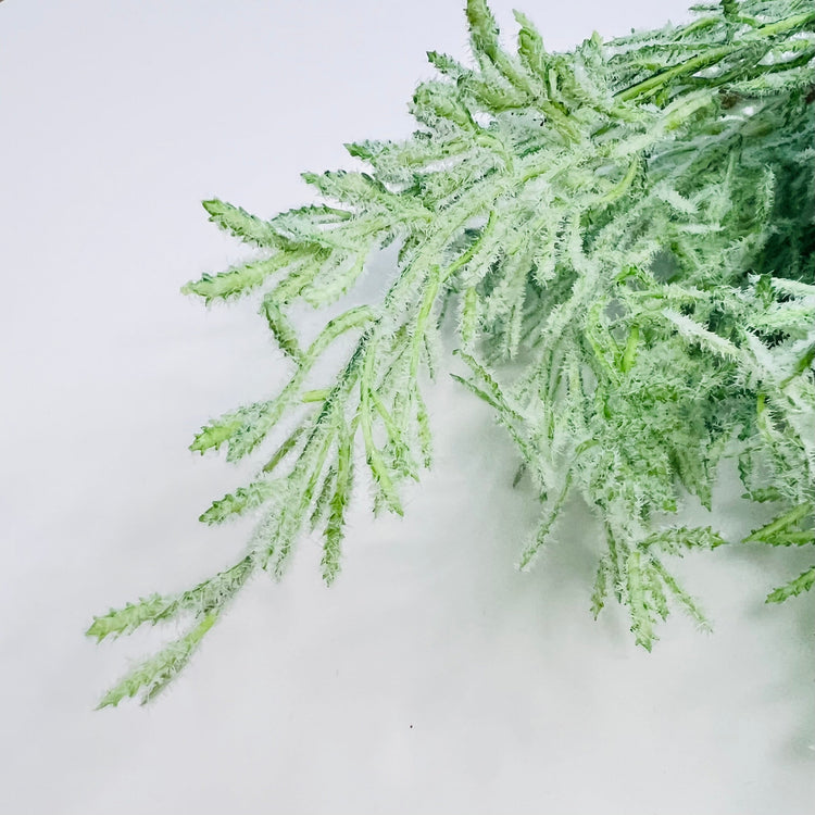 Soft Winter Greens