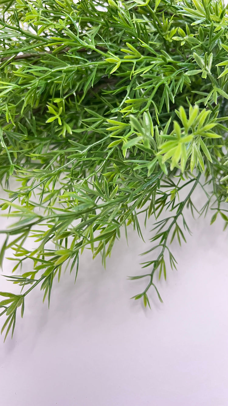 Greenery Bushes