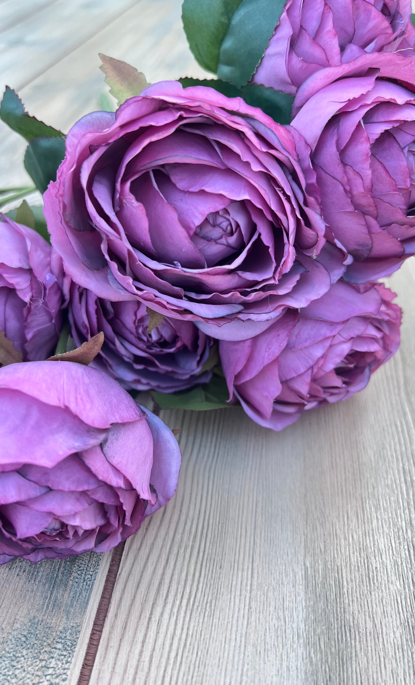 Antique Violet cabbage rose bush with layered petals and vintage-inspired lavender and plum coloration. Sourced by Gardenbug Designs