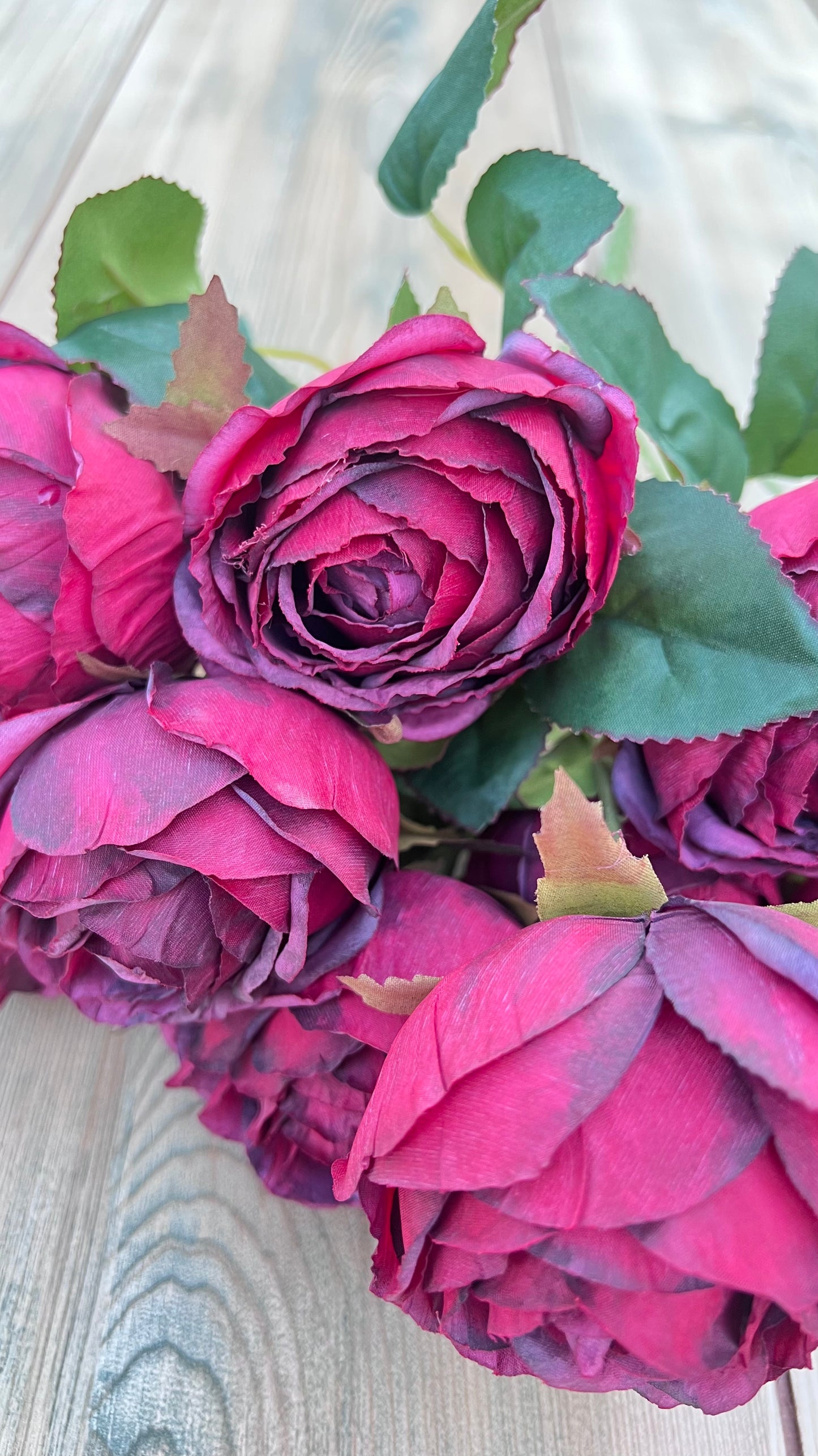 Raspberry Plum cabbage roses with layered petals and dramatic antique-inspired coloration. Sourced by Gardenbug Designs