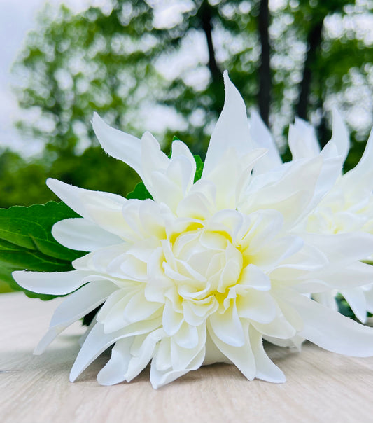 White Dahlia Bush sourced by Gardenbug Designs featuring layered ivory blooms and garden-inspired elegance