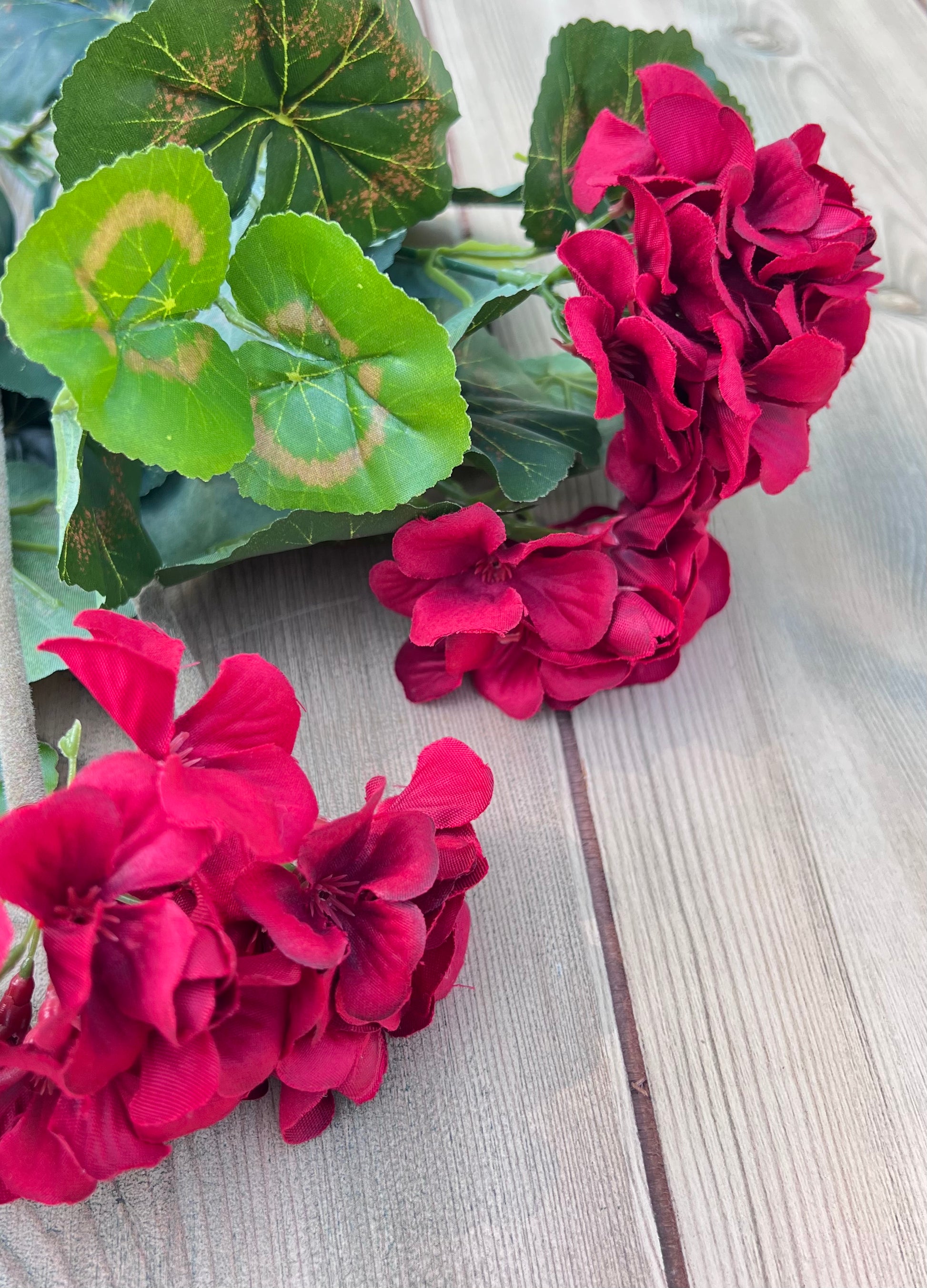 Red Geranium Bush with vibrant blooms and realistic foliage sourced by Gardenbug Designs