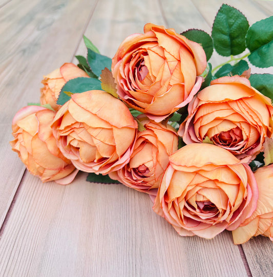 Sunset Rust Cabbage Rose Bush featuring warm apricot, peach, coral, and rust-toned blooms sourced by Gardenbug Designs