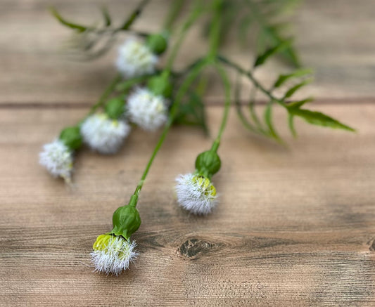 Cream Meadow Pod Spray with tufted pod details sourced by Gardenbug Designs