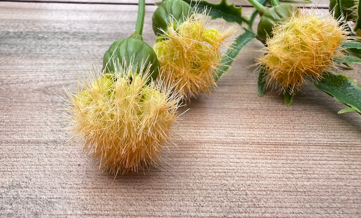 Yellow Meadow Pod Spray with airy tufted pod details sourced by Gardenbug Designs