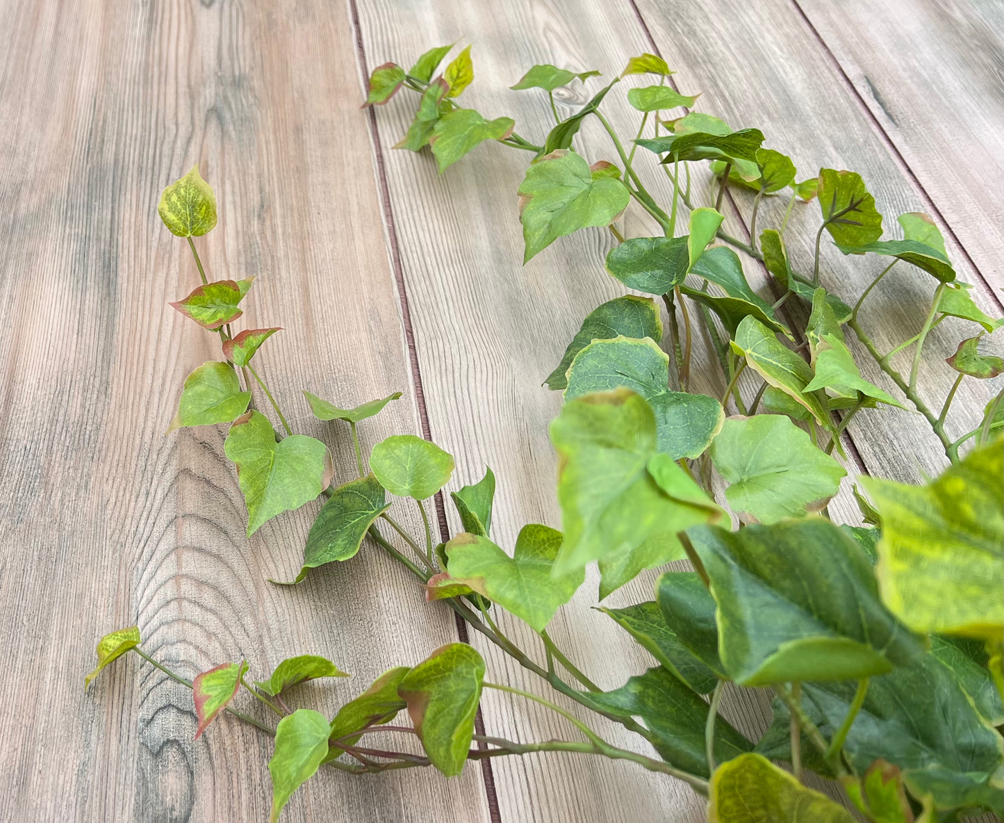 Cottonwood Ivy Bush — Light Green faux trailing greenery with delicate cascading foliage, sourced by Gardenbug Designs
