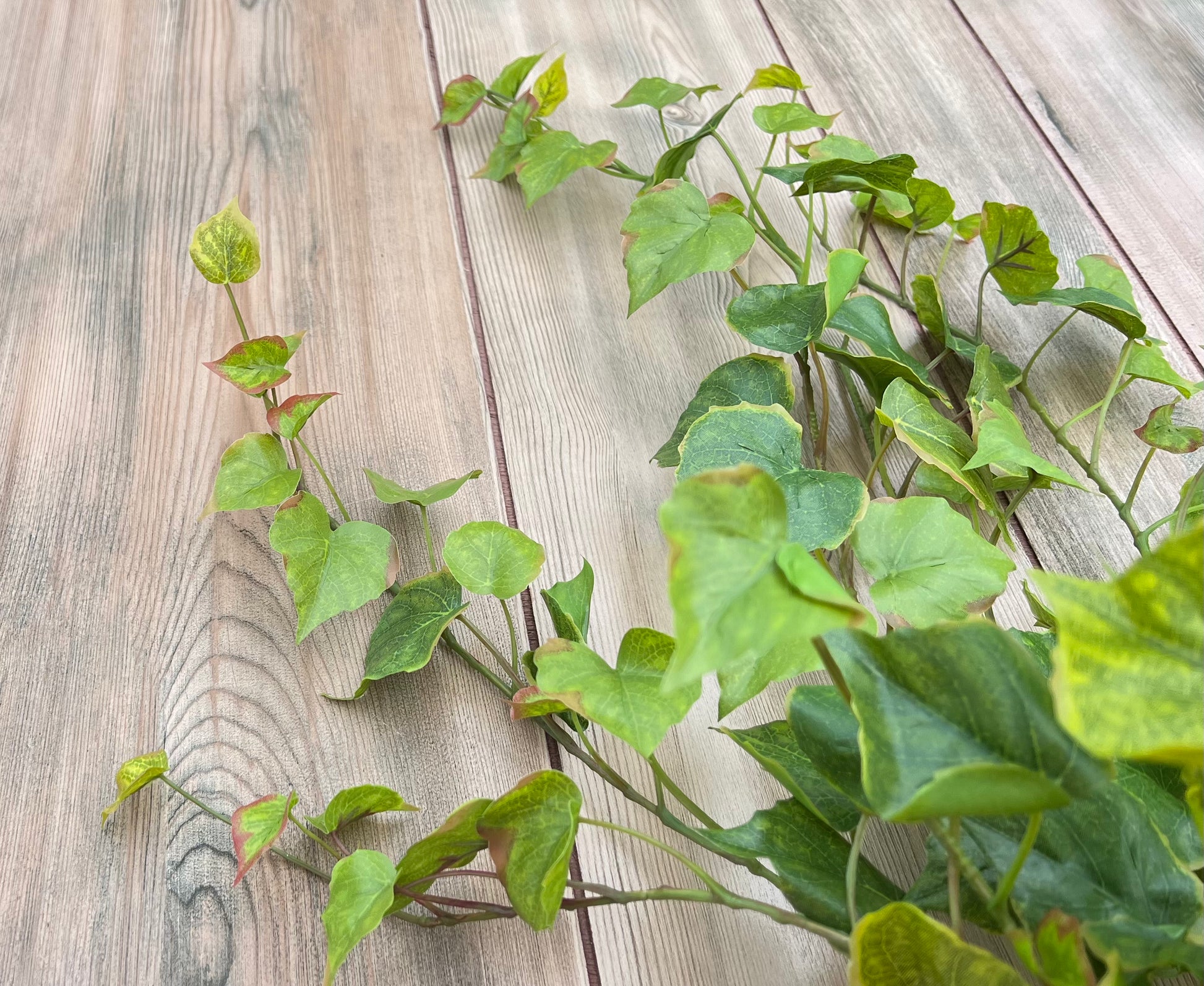 Cottonwood Ivy Bush — Light Green faux trailing greenery with delicate cascading foliage, sourced by Gardenbug Designs
