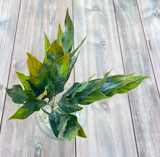 Leaf Bush — Yellow Green Tips greenery bush featuring layered green foliage with yellow-green highlights, sourced by Gardenbug Designs