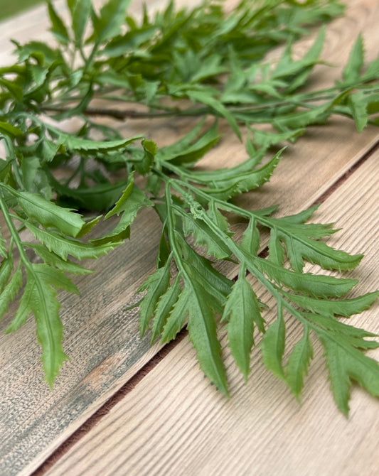 Ming Aralia Spray faux greenery featuring airy branching foliage and natural movement sourced by Gardenbug Designs