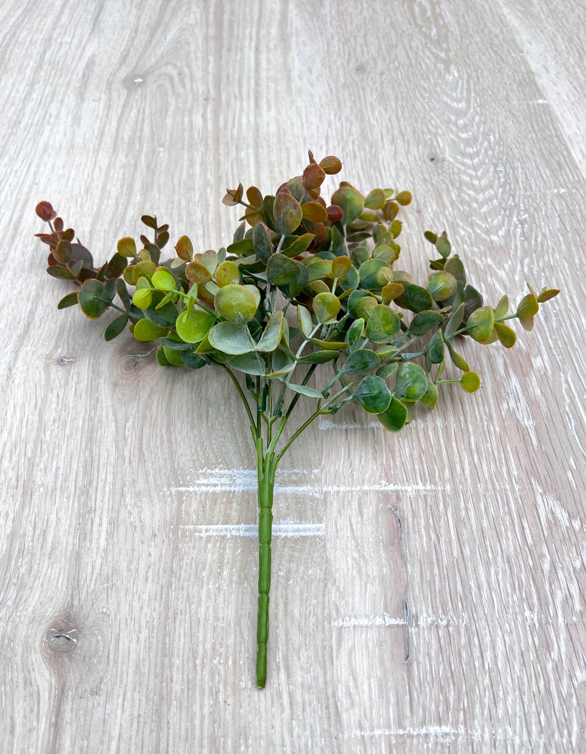 Full view of Bronze Tips artificial eucalyptus bush showing overall shape, branching, and foliage