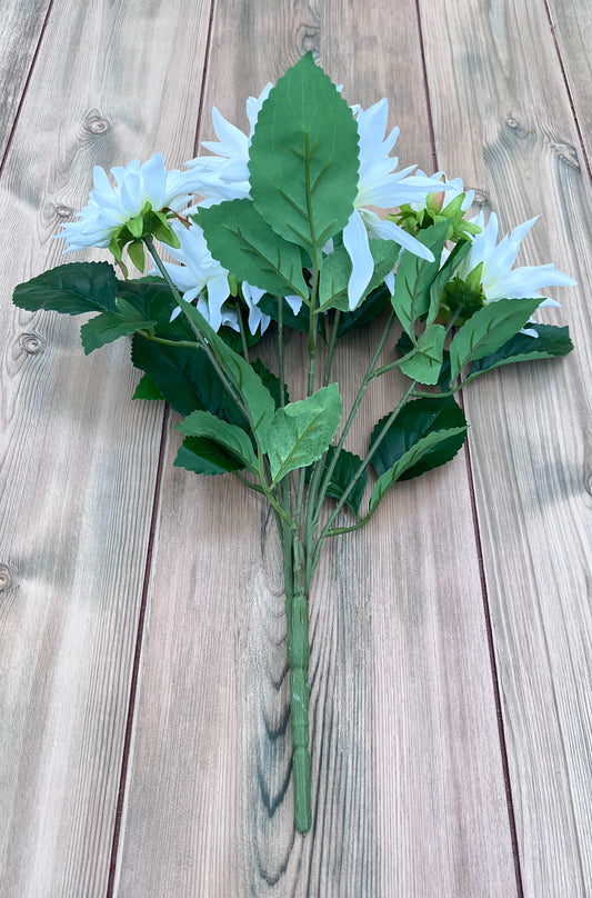 White Dahlia Bush showing full stem structure and multiple dahlia blooms