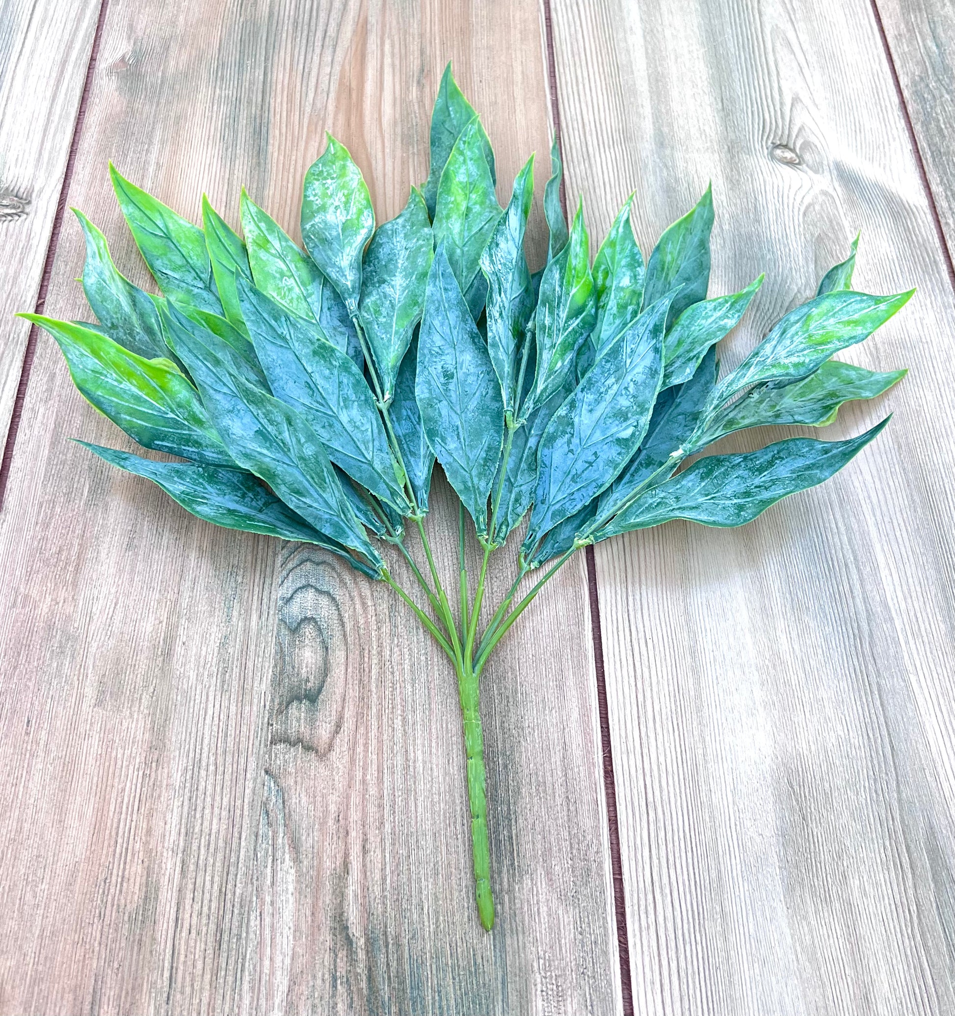 Leaf Bush- Green Tips showing full bush structure and layered green foliage