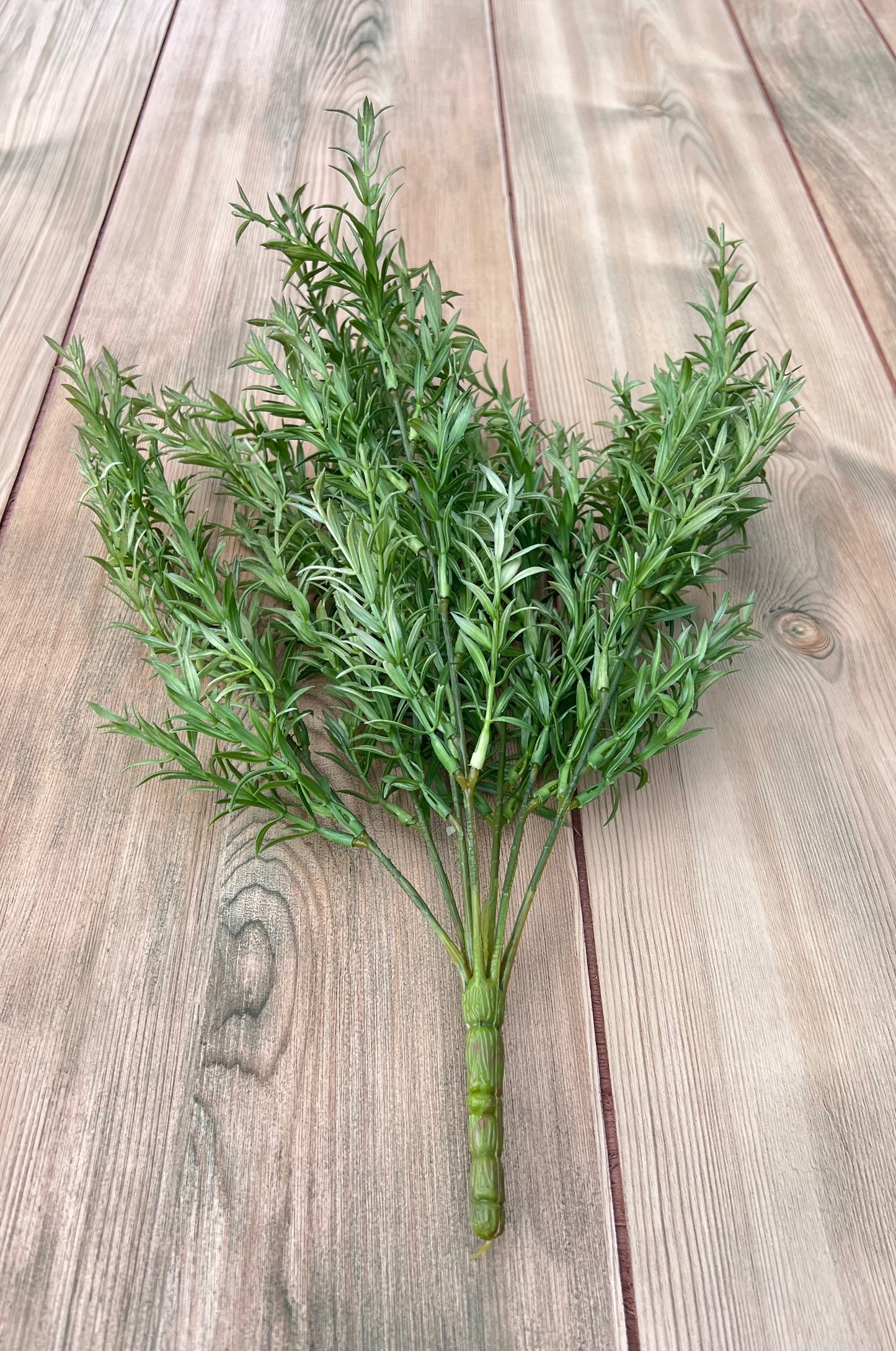 Full view of Rosemary Bush showcasing realistic foliage and natural shape