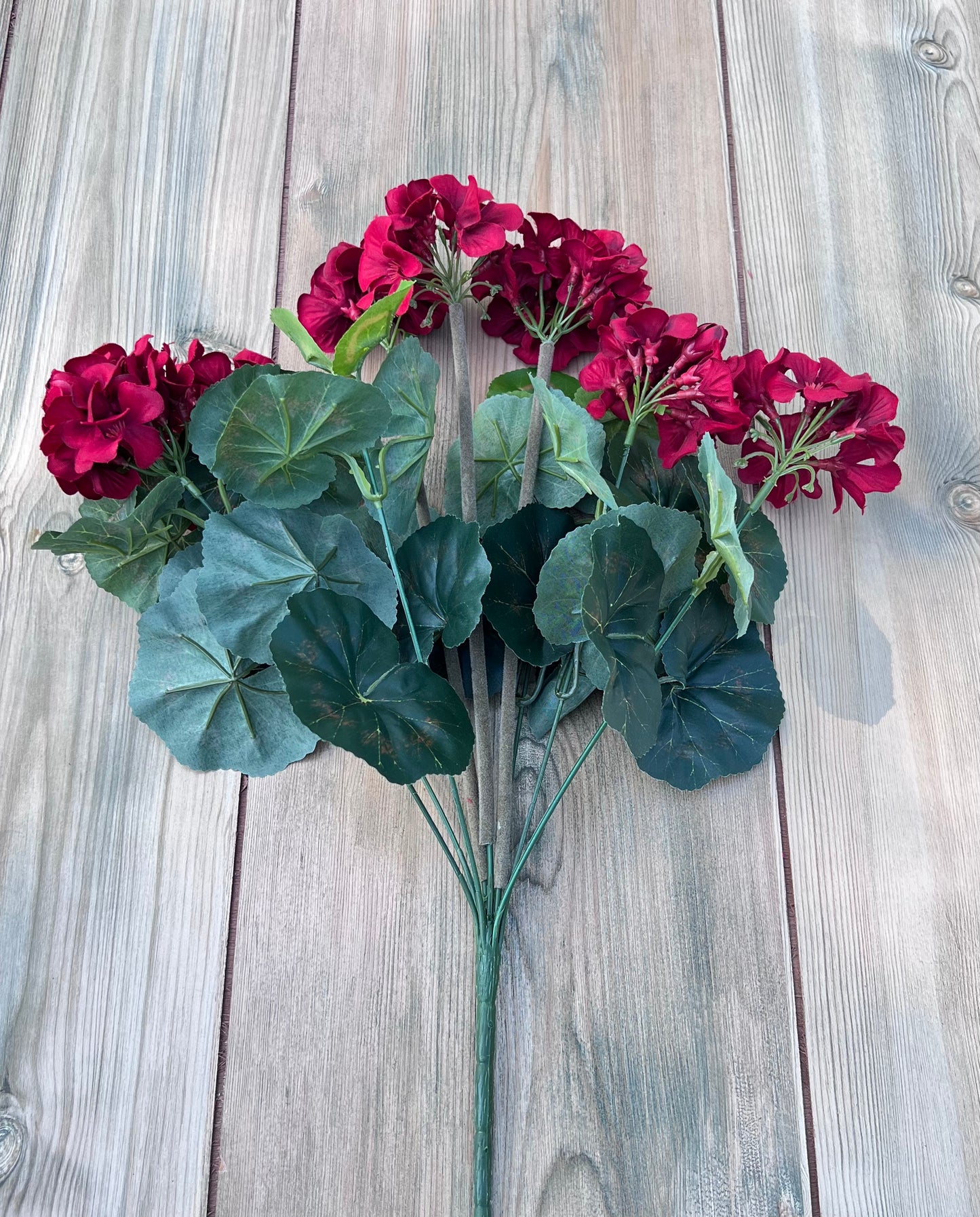 Full view of our Red Geranium Bush featuring multiple bloom clusters and realistic foliage