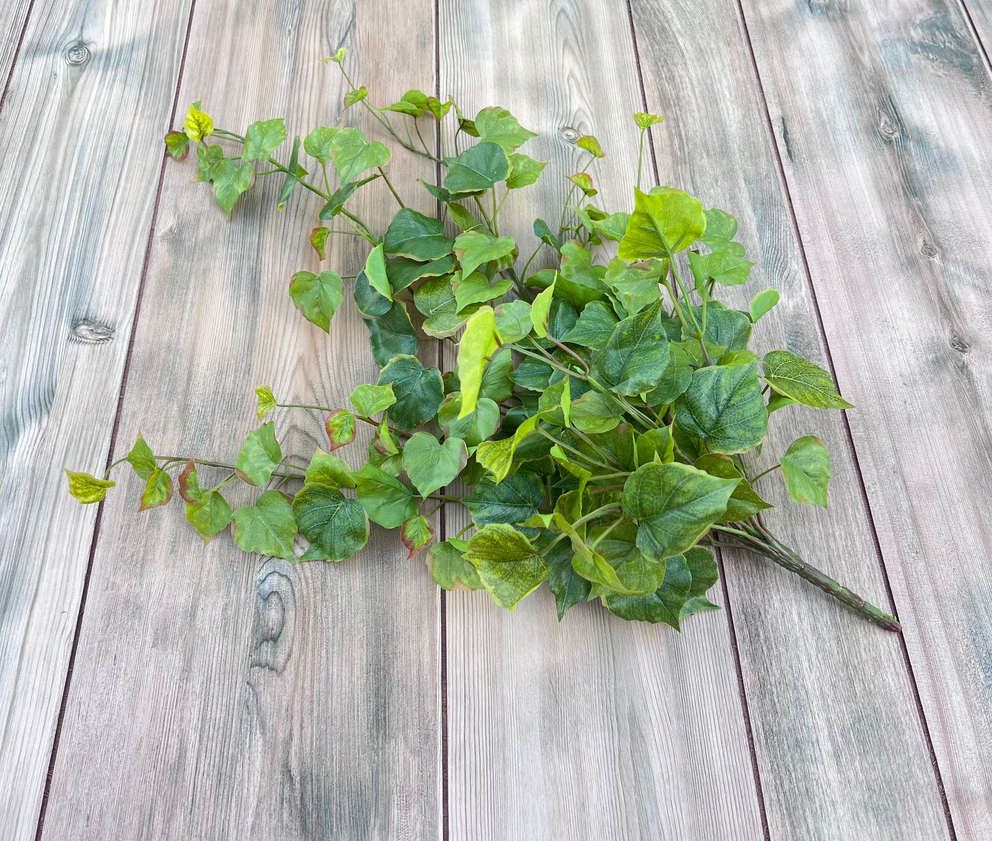 Alternate view of Cottonwood Ivy Bush — Light Green highlighting stem distribution and natural movement