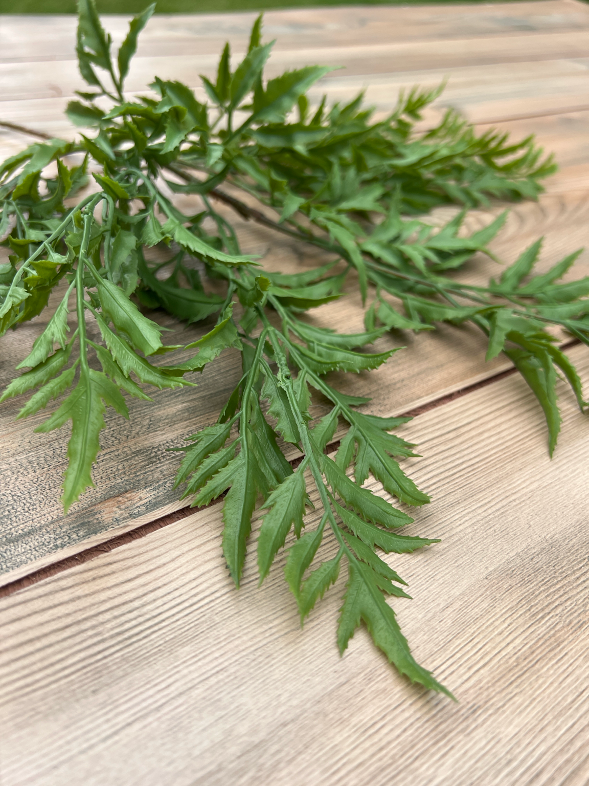Angled view of our Ming Aralia Spray highlighting movement and layered foliage