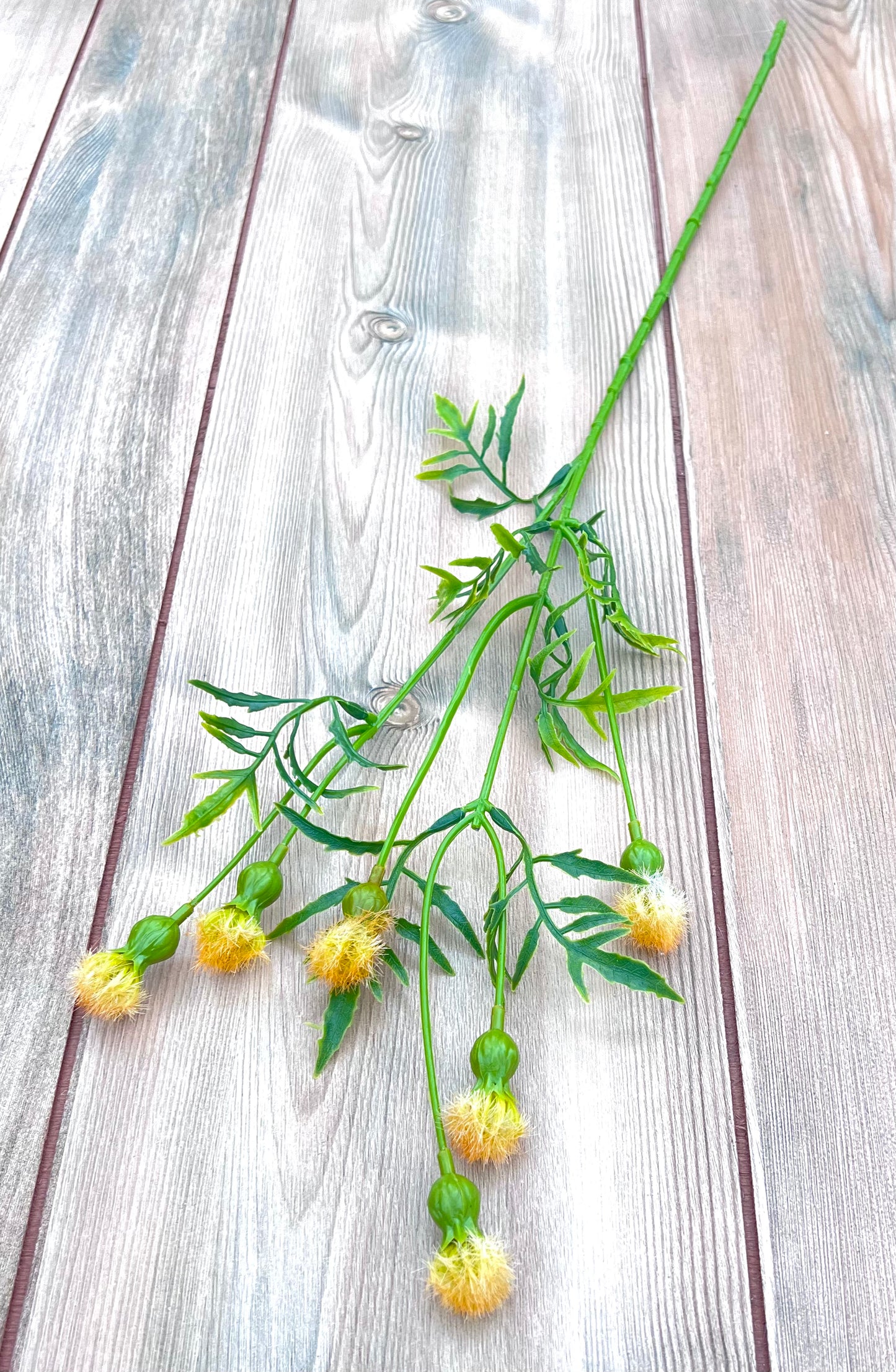 Yellow Meadow Pod Spray shown from an alternate angle highlighting natural movement and airy form