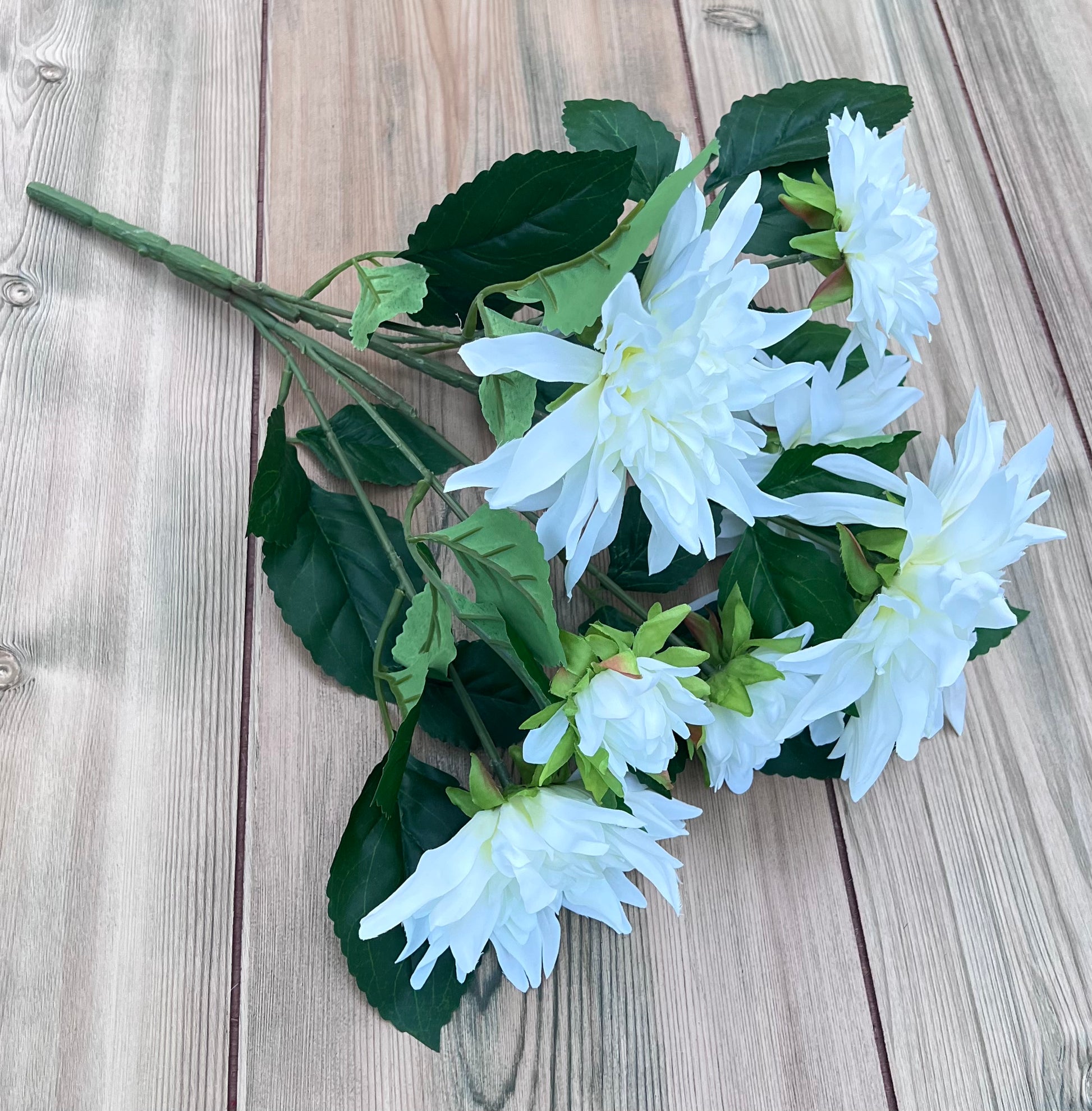 White Dahlia Bush viewed from an alternate angle showcasing bloom placement and dimension