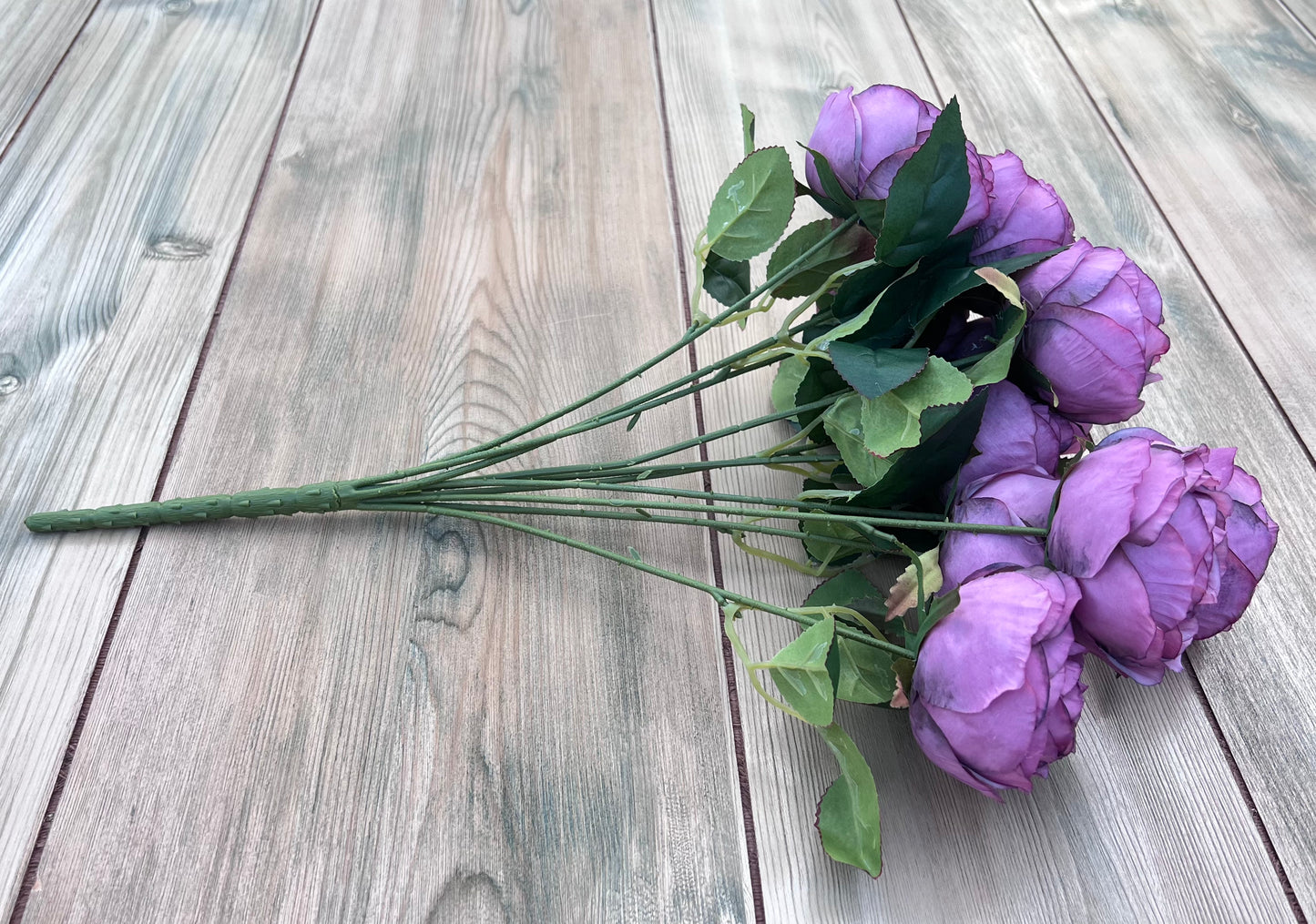 Antique Violet cabbage rose bush shown from an alternate angle displaying bloom placement and fullness