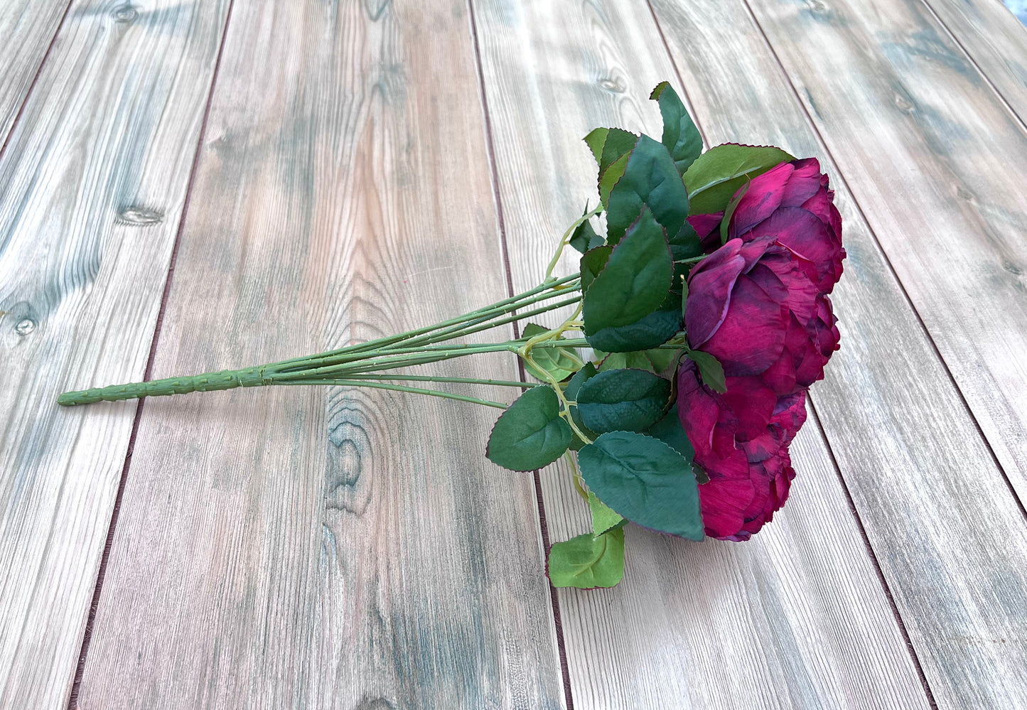 Raspberry Plum cabbage rose bush shown from an alternate angle displaying bloom placement and form