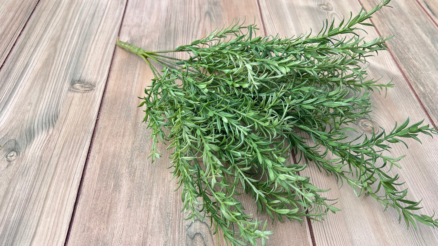 Angled view of our Rosemary Bush highlighting texture and branching structure