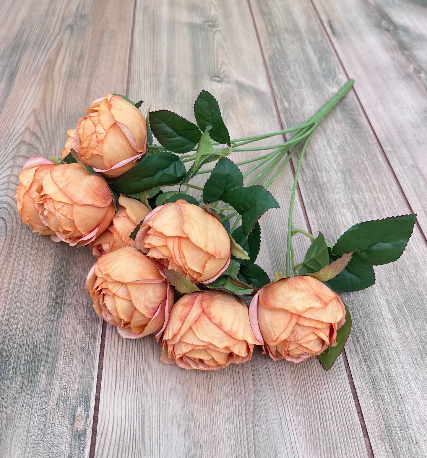 Alternate angle of our Sunset Rust Cabbage Rose Bush highlighting bloom placement and natural shape