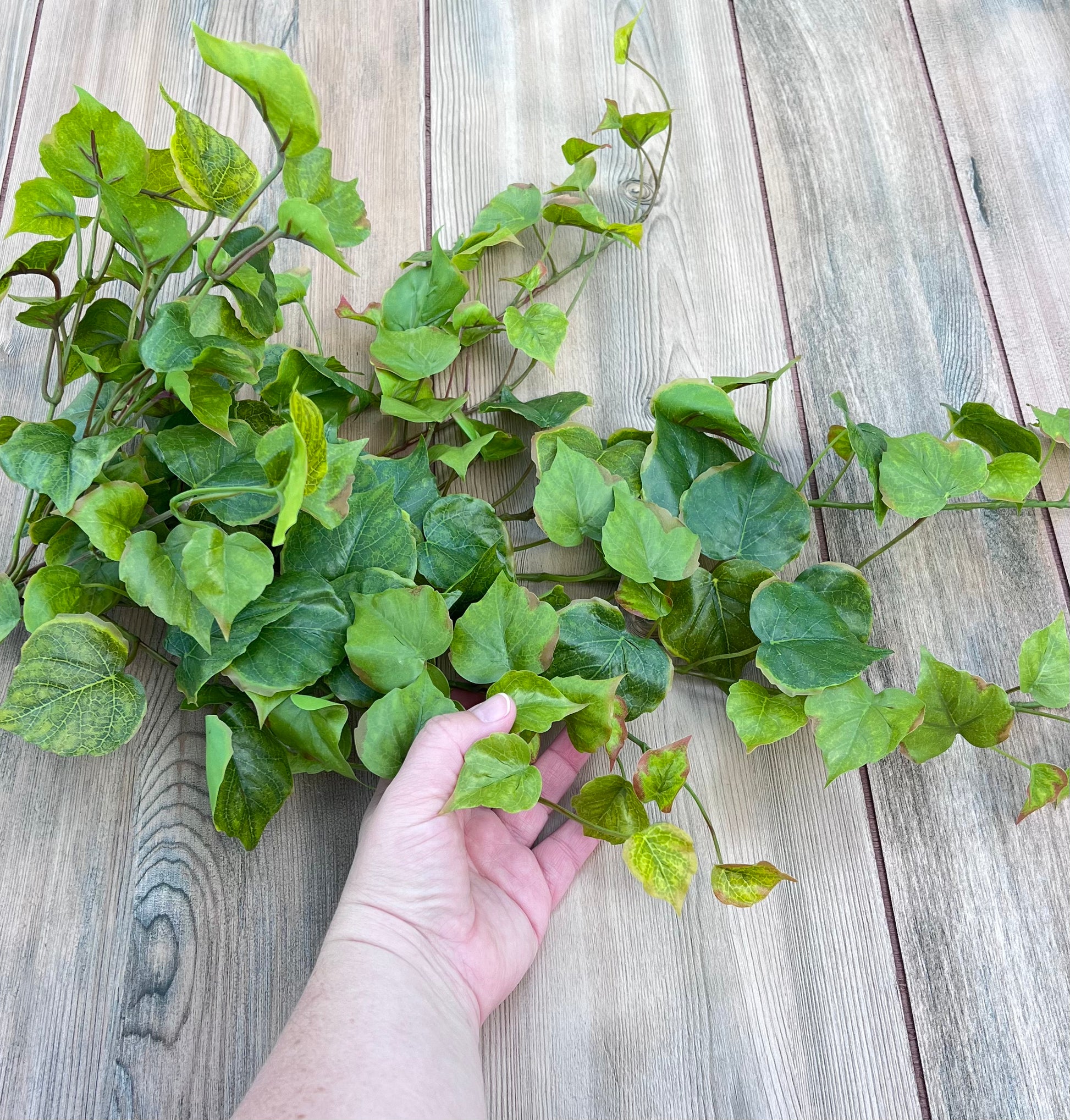 Cottonwood Ivy Bush — Light Green shown in hand for scale, measuring approximately 28 inches in length