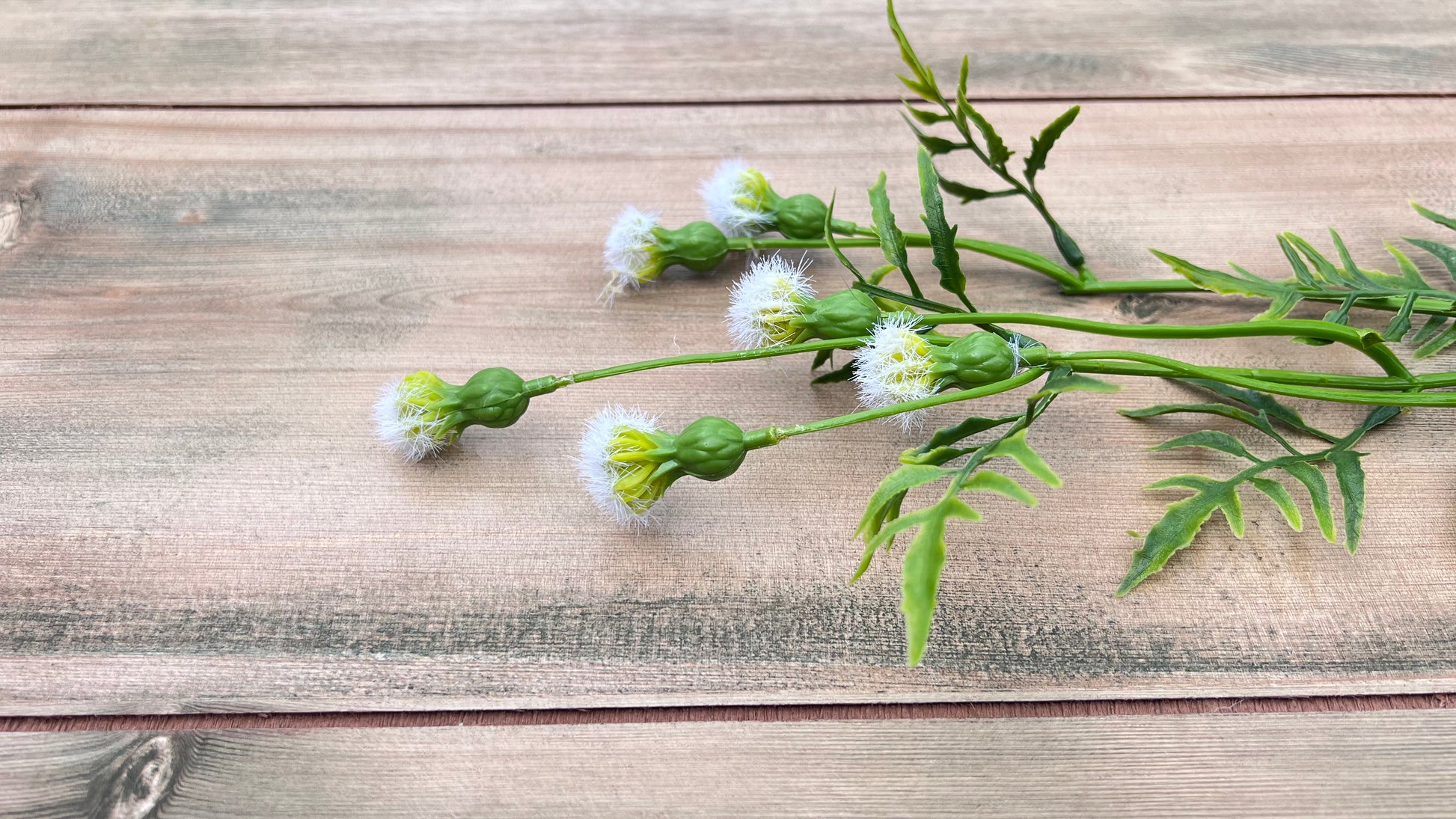 Artistic detail of Cream Meadow Pod Spray showcasing delicate tufted pods and airy botanical texture