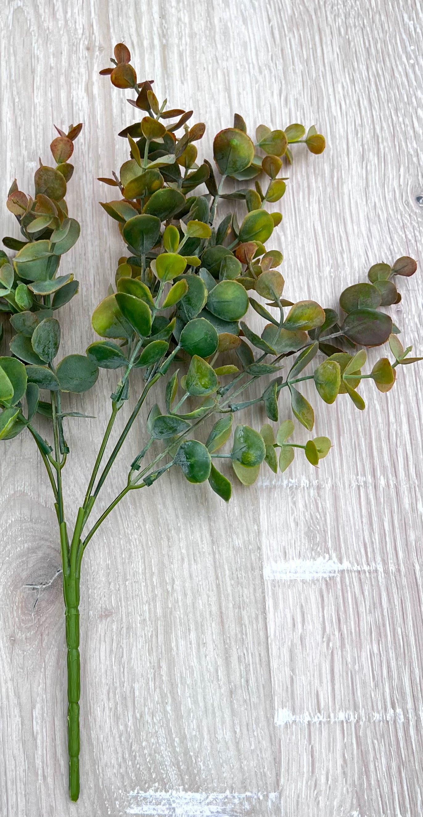 Branching structure of Bronze Tips faux eucalyptus bush showing stem placement and overall form