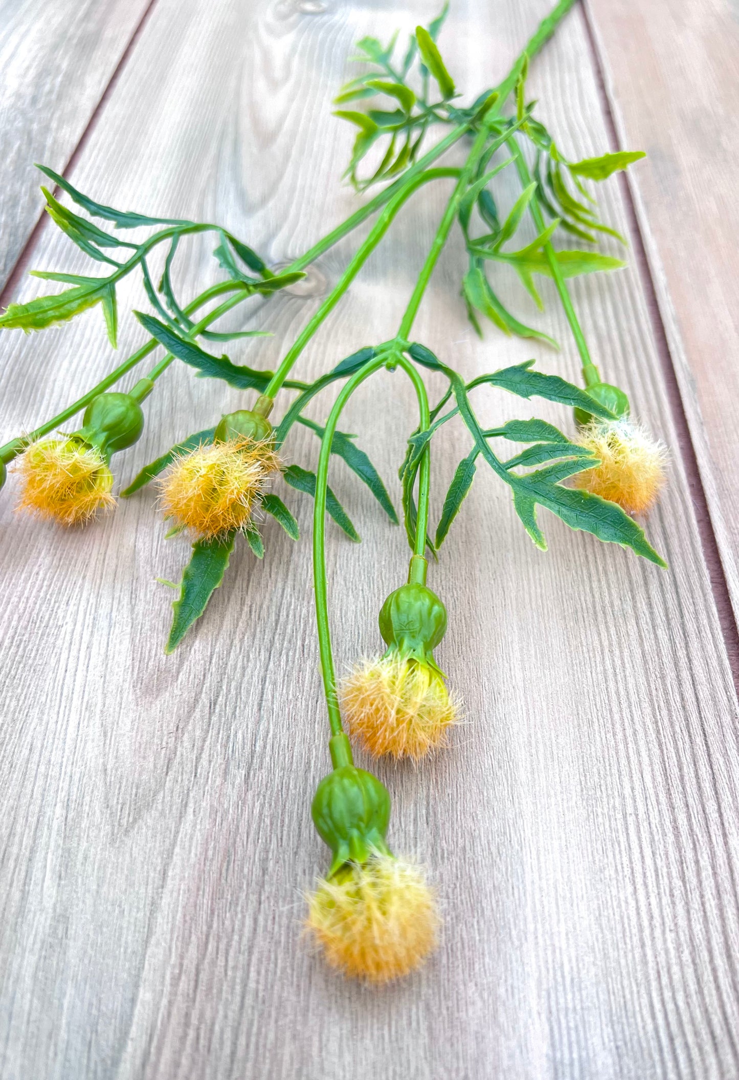 Artistic detail of the Yellow Meadow Pod Spray showcasing the structure of the stem