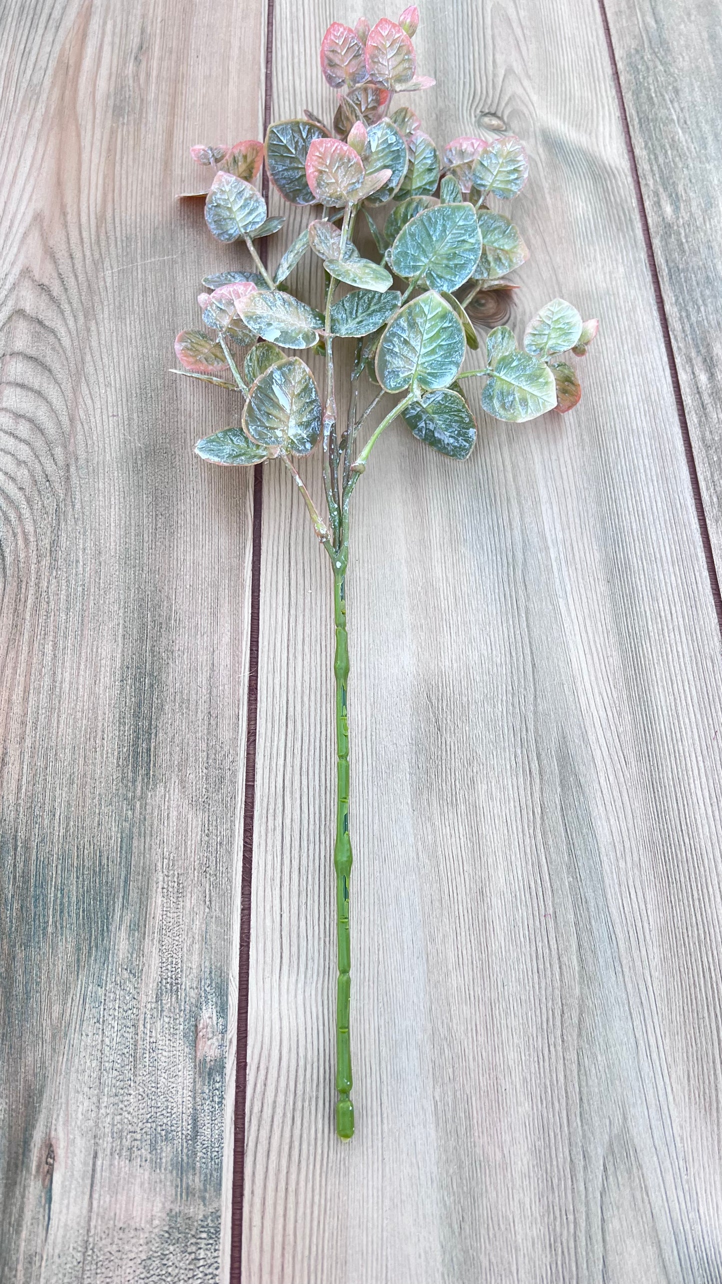 Wild Grass Bundle-Frosted Blush showing individual stem structure, branching, and overall form
