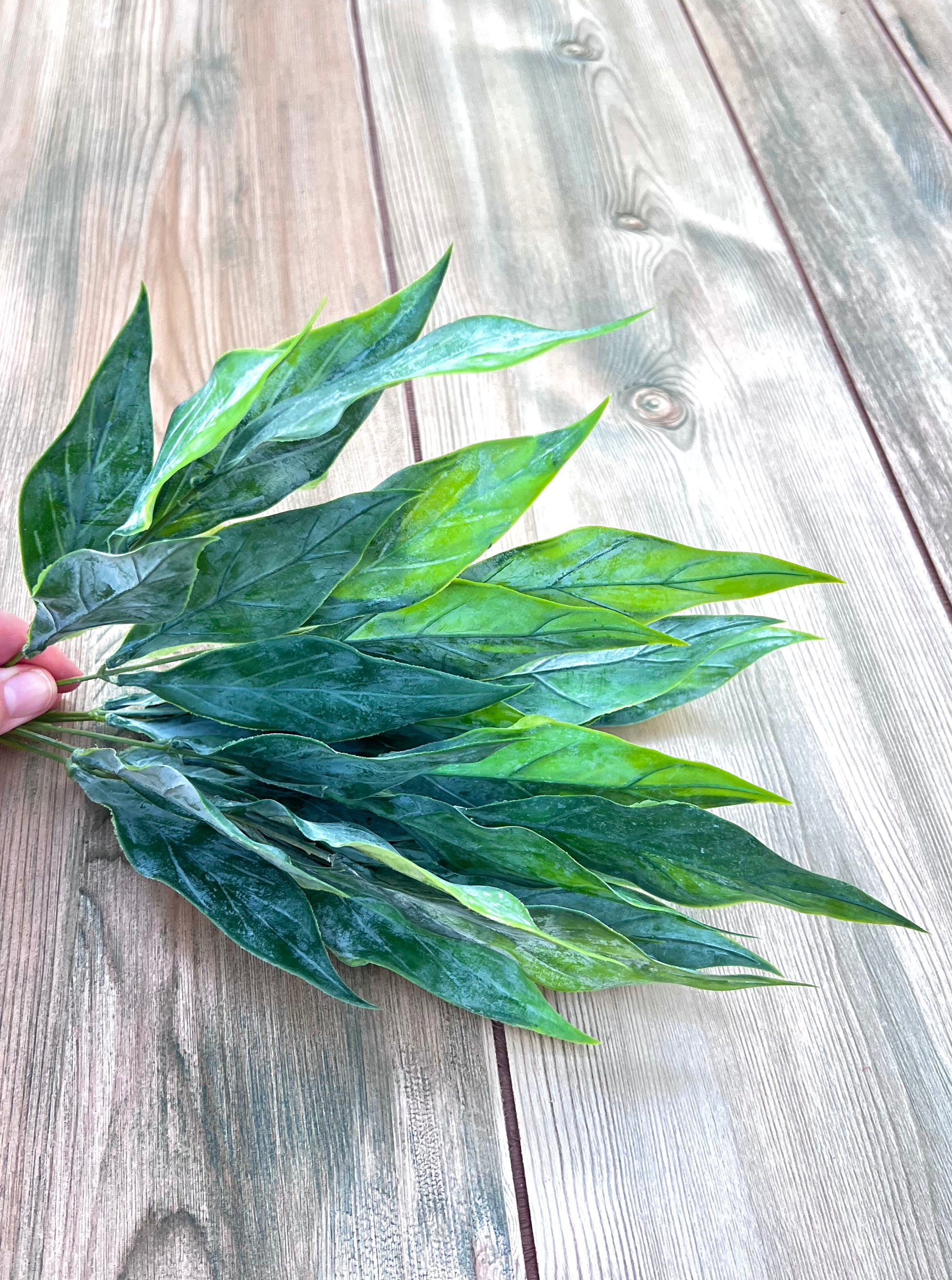 Leaf Bush- Green Tips highlighting branching structure and directional foliage placement