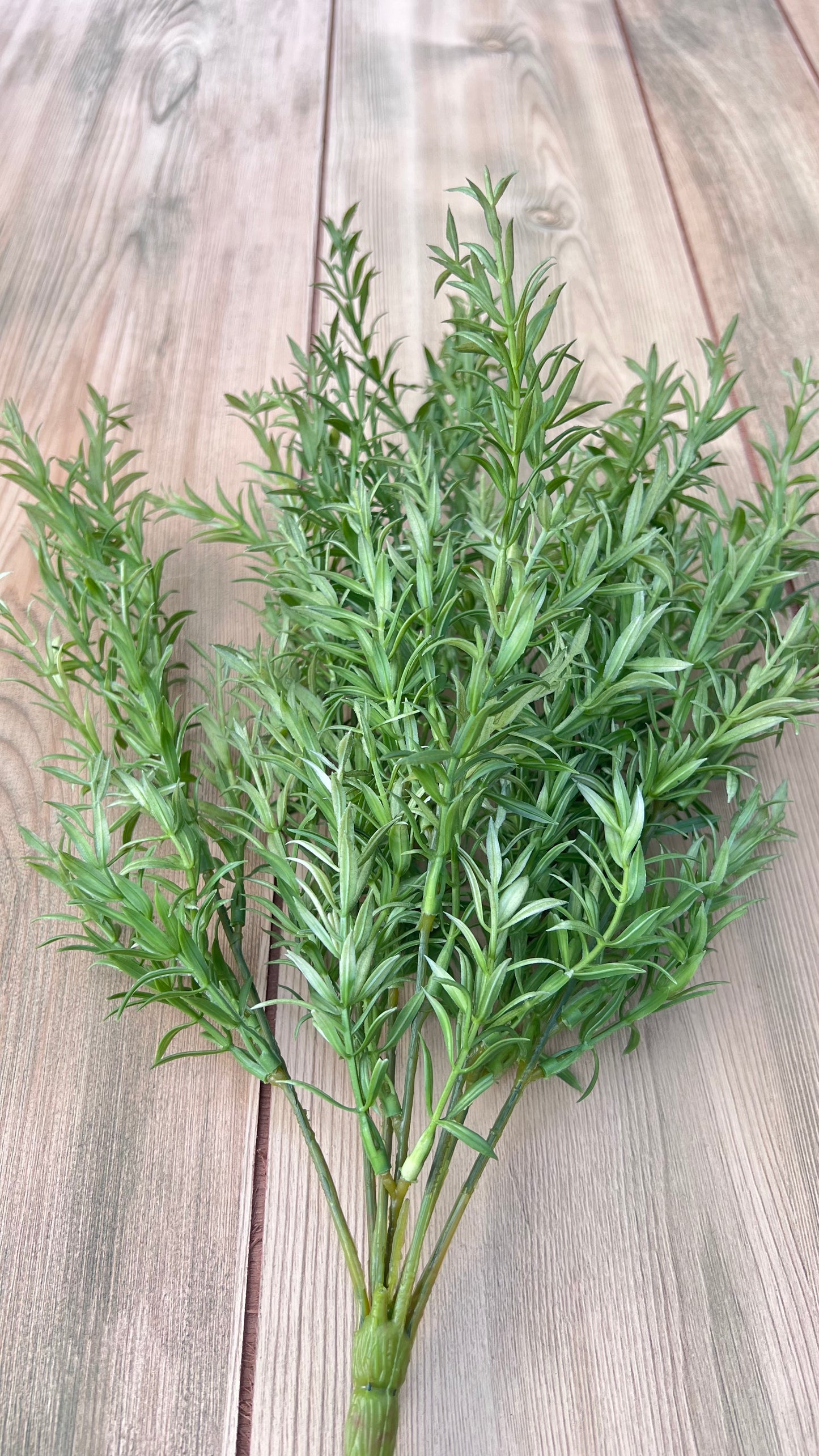 Branching structure of our Rosemary Bush displaying stem architecture and foliage placement