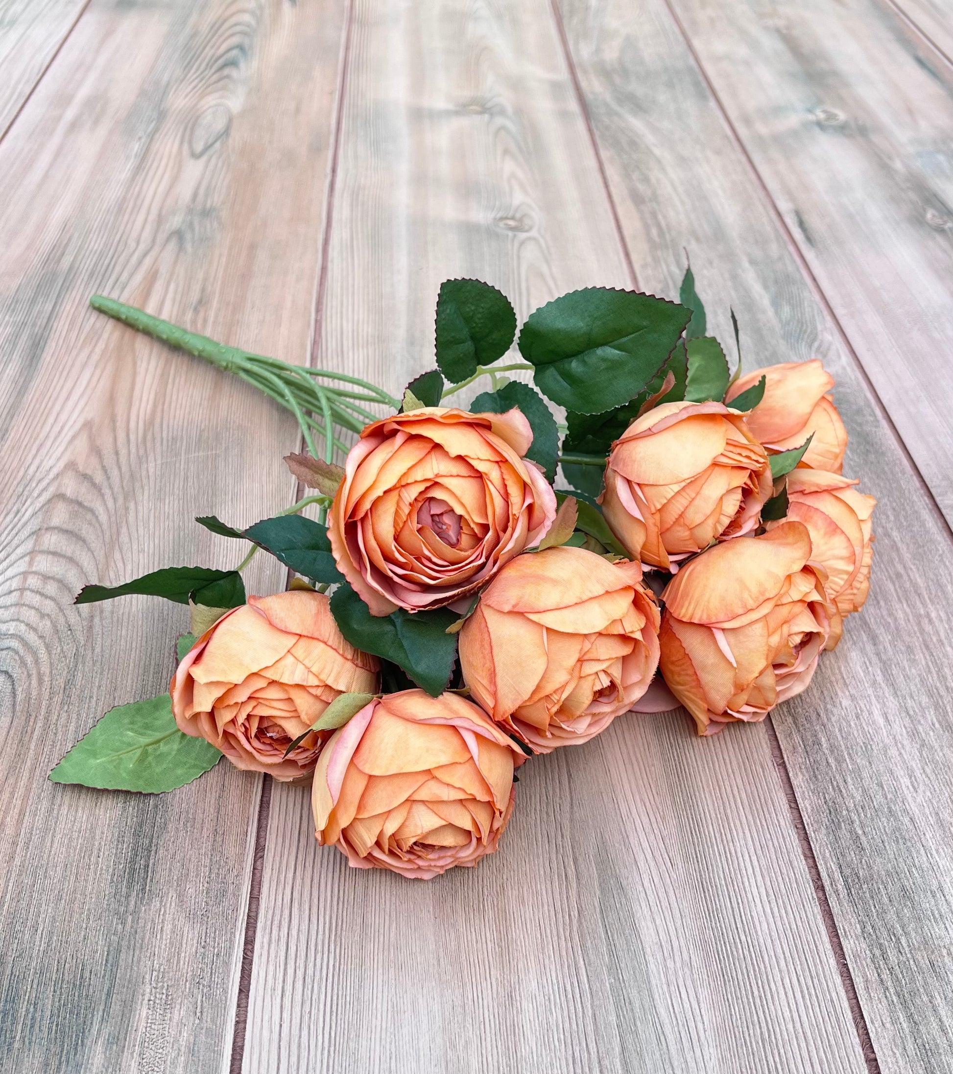 Structure view of Sunset Rust Cabbage Rose Bush showing stem construction, branching, and bloom distribution