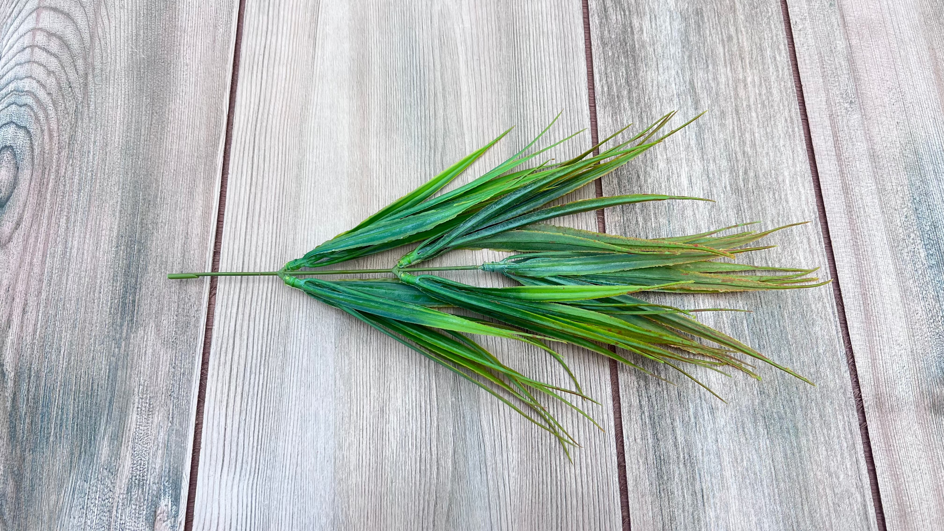 Fine Grass Bush | Yellow Green  showing stem structure and branching construction