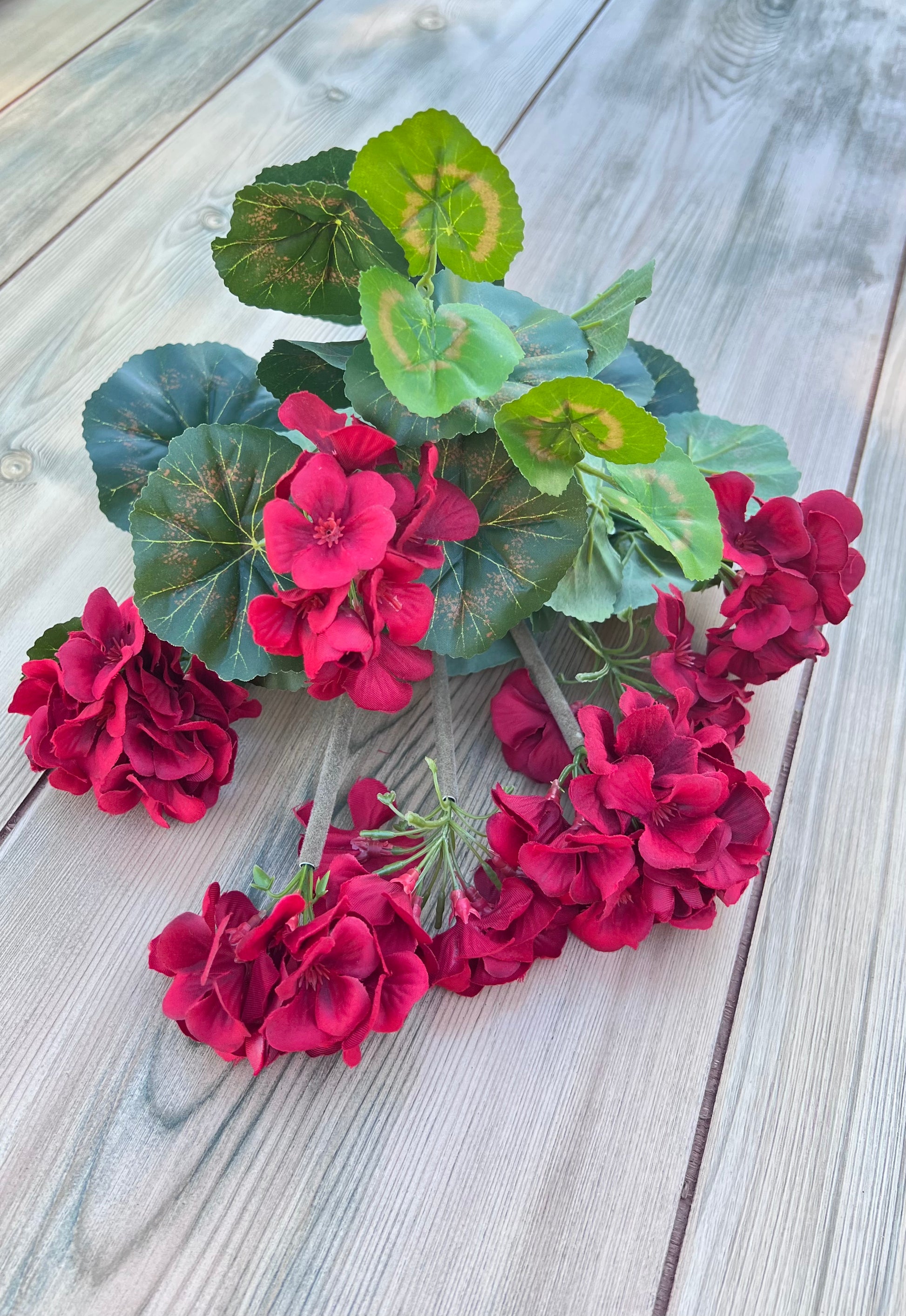 Structure view of the Red Geranium Bush showing stem placement, foliage arrangement, and bloom distribution
