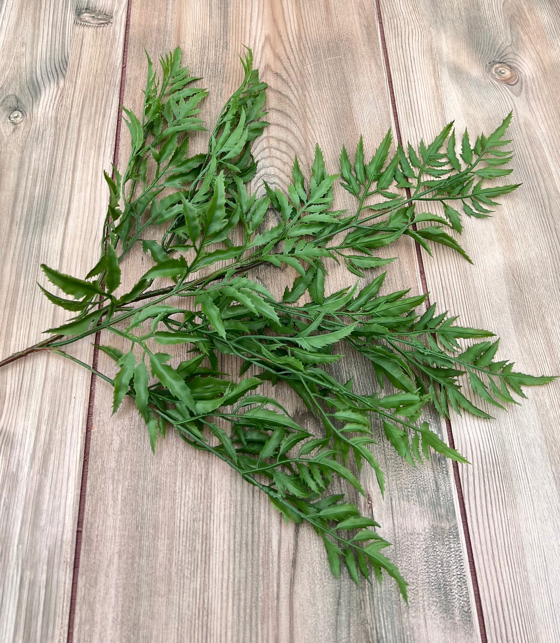 Individual stem detail of the Ming Aralia Spray with fine textured foliage