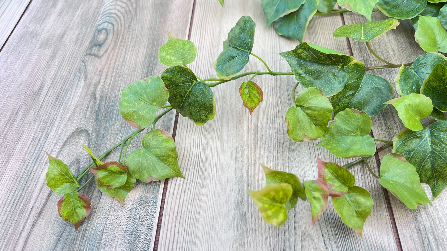 Single stem from the Cottonwood Ivy Bush — Light Green showing foliage arrangement and construction