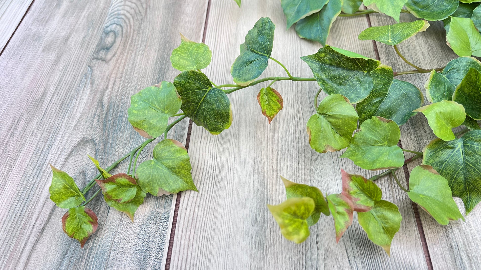 Single stem from the Cottonwood Ivy Bush — Light Green showing foliage arrangement and construction