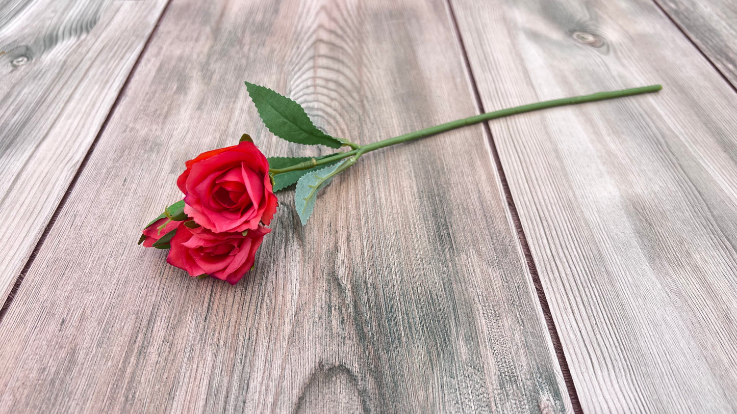 Single coral rose stem with realistic foliage and bud detail
